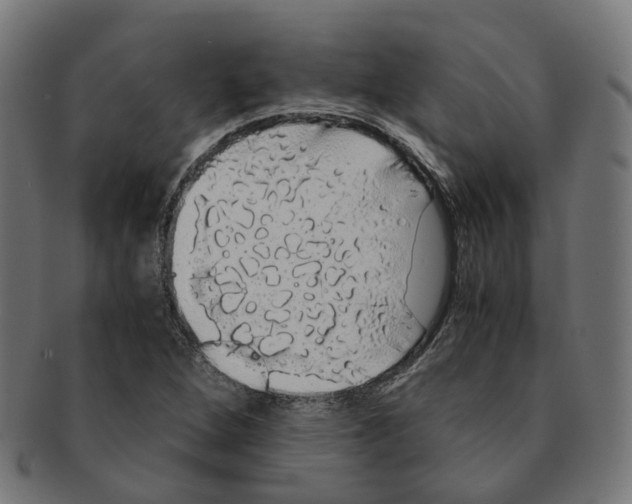 X0000091241264200709061532