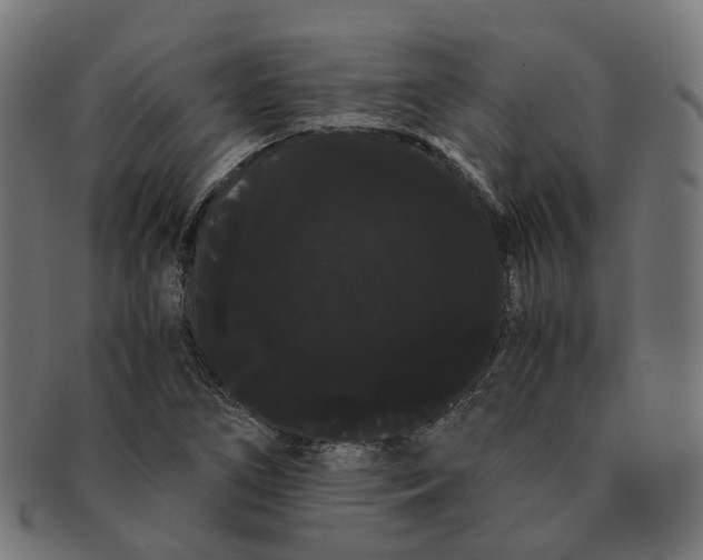 X0000091241266200709061532