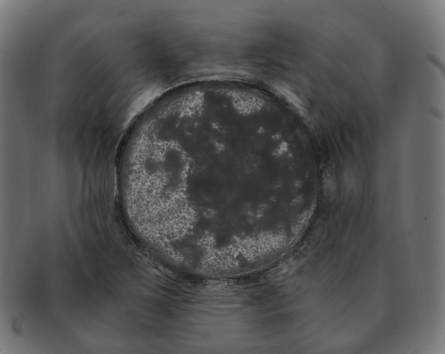 X0000091241267200709061532