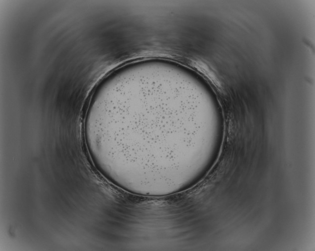 X0000091241268200709061532