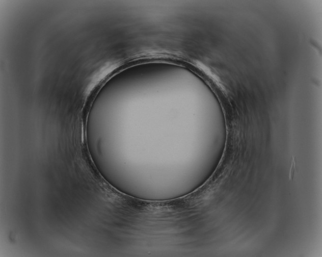 X0000091241269200709061532