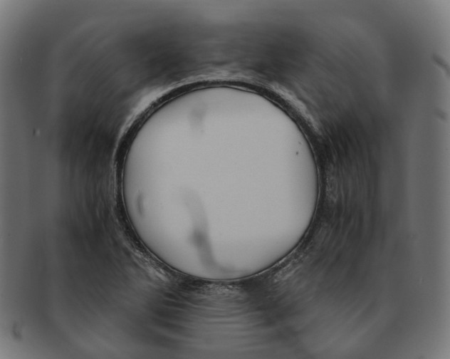 X0000091241270200709061532