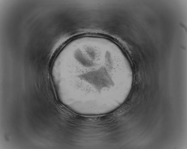 X0000091241271200709061532