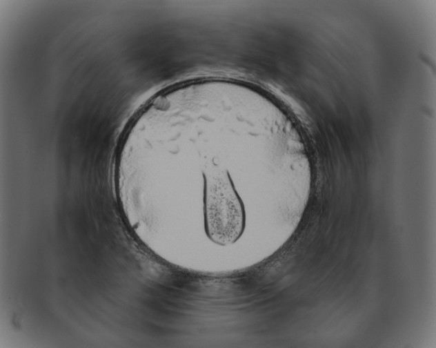 X0000091241272200709061532