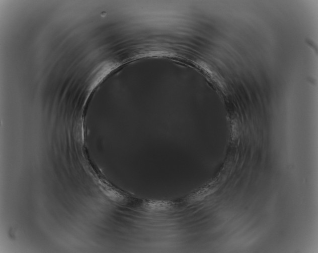 X0000091241274200709061532
