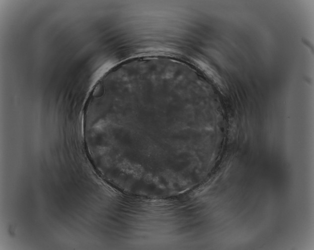 X0000091241275200709061532