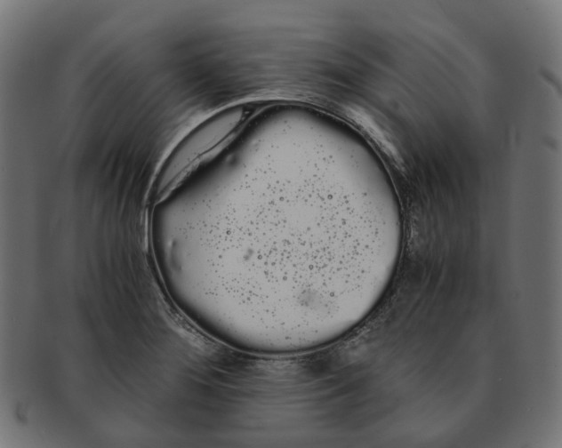 X0000091241276200709061532