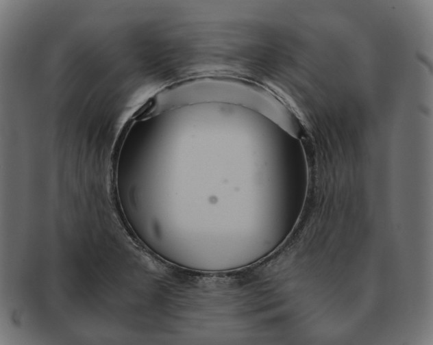 X0000091241277200709061532