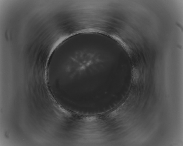 X0000091241278200709061532