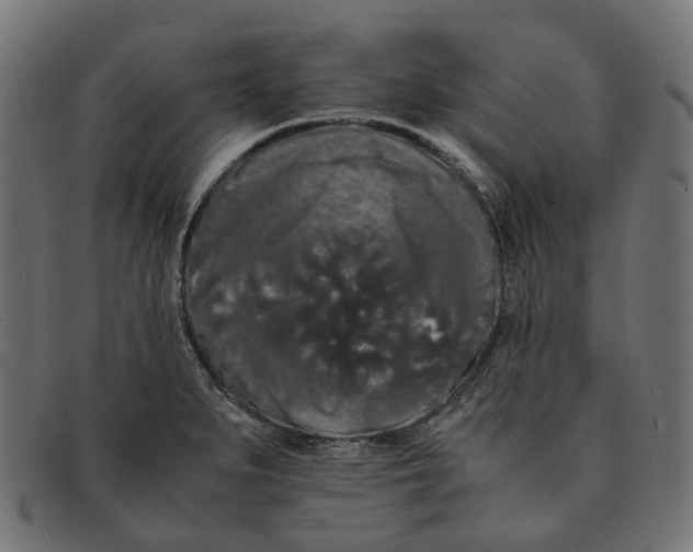 X0000091241279200709061532