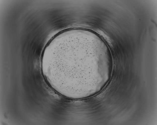 X0000091241280200709061532