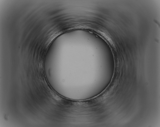 X0000091241281200709061532