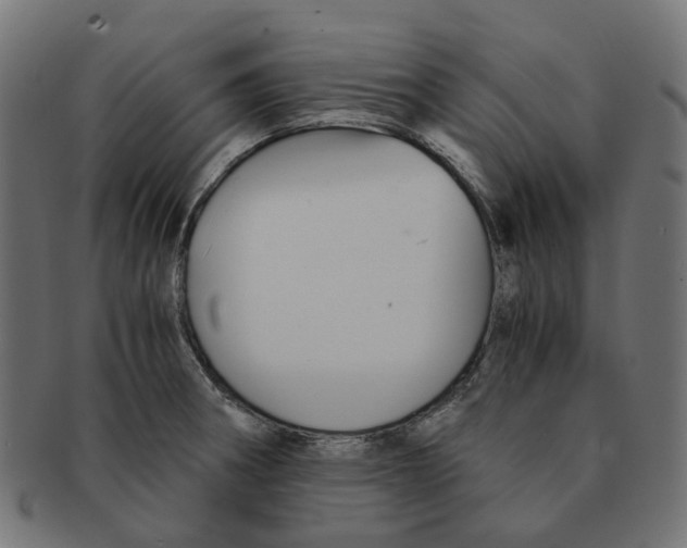 X0000091241282200709061532