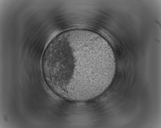X0000091241283200709061532