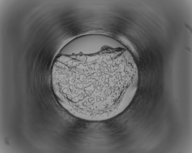 X0000091241284200709061532