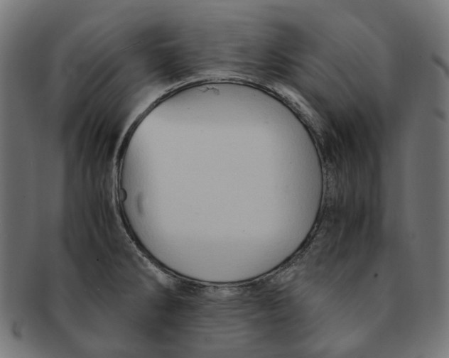 X0000091241286200709061532