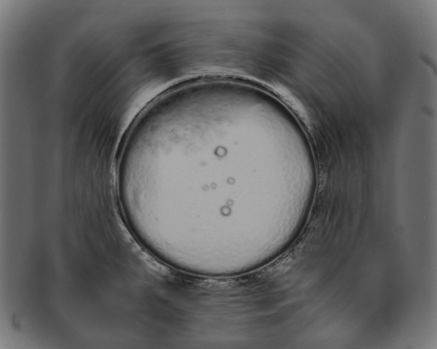 X0000091241287200709061532