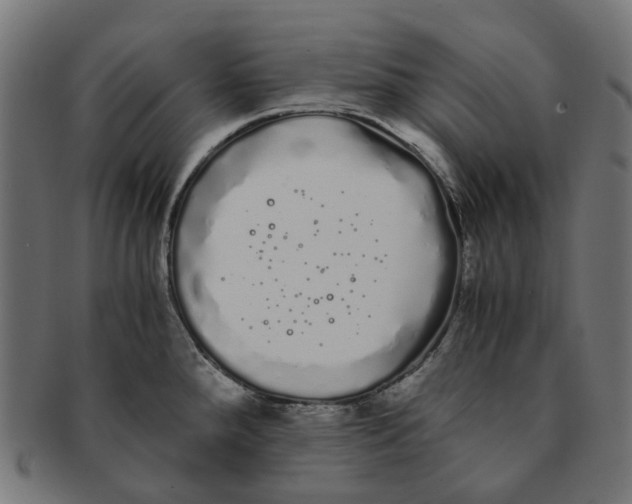 X0000091241288200709061532
