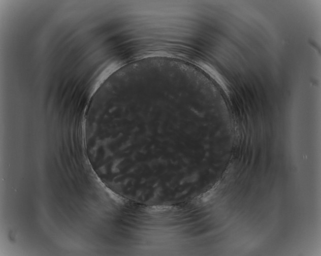 X0000091241290200709061532