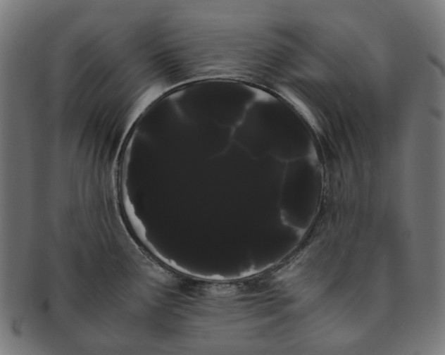 X0000091241291200709061532