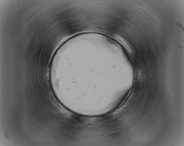 X0000091241292200709061532