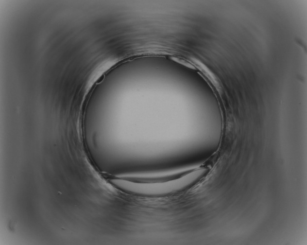 X0000091241293200709061532