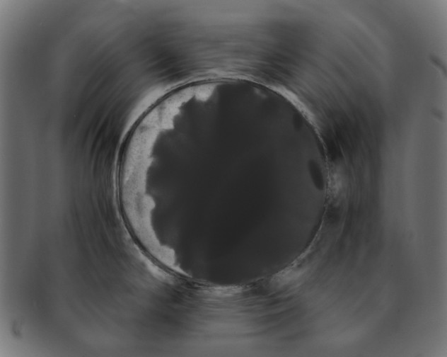 X0000091241294200709061532