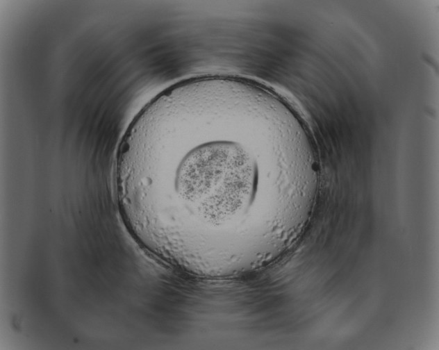 X0000091241295200709061532