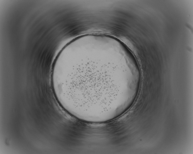 X0000091241296200709061532