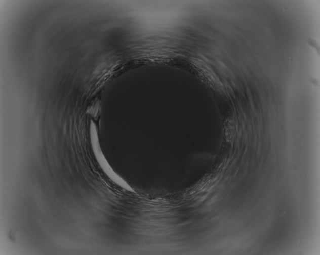 X0000091241298200709061531