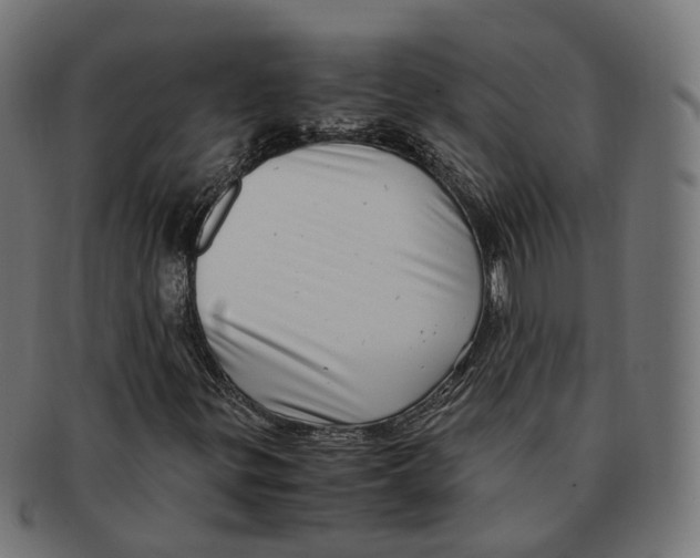 X0000091241299200709061531