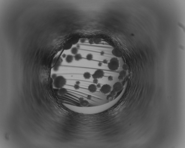X0000091241300200709061531
