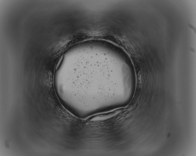 X0000091241301200709061531