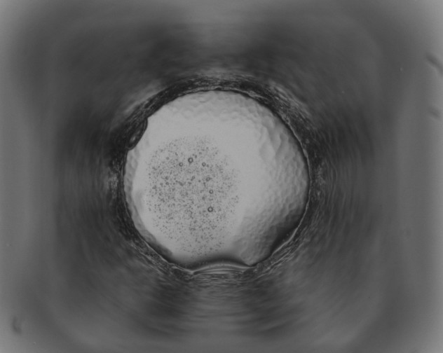 X0000091241302200709061531