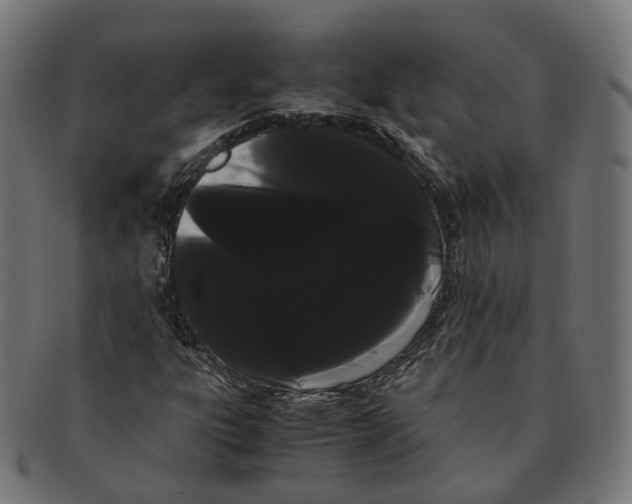 X0000091241303200709061531
