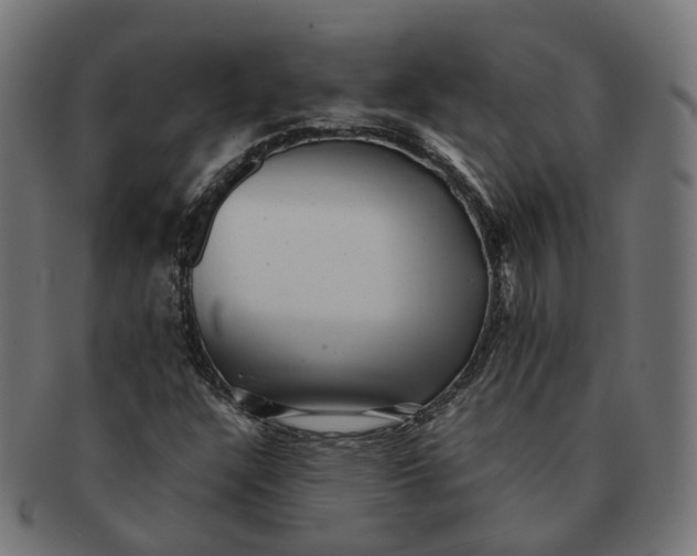 X0000091241304200709061531