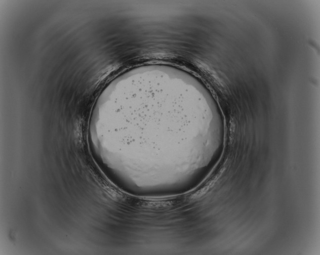 X0000091241305200709061531