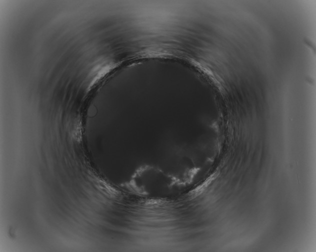 X0000091241306200709061531