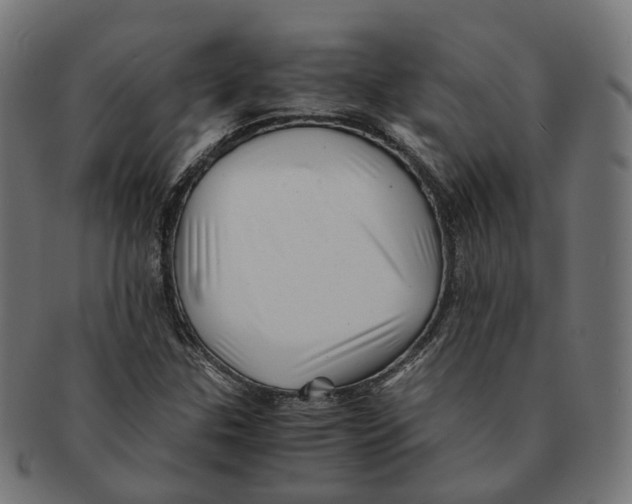X0000091241307200709061531