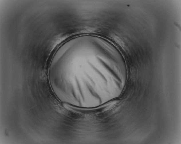 X0000091241308200709061531