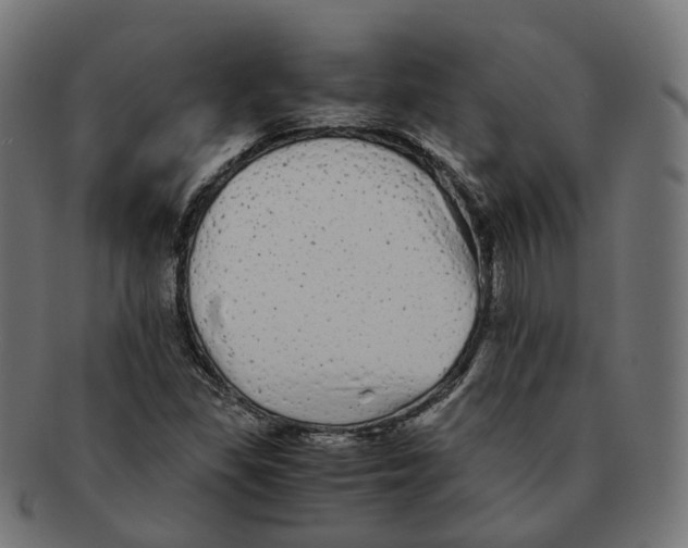 X0000091241309200709061531