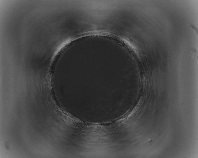 X0000091241310200709061531
