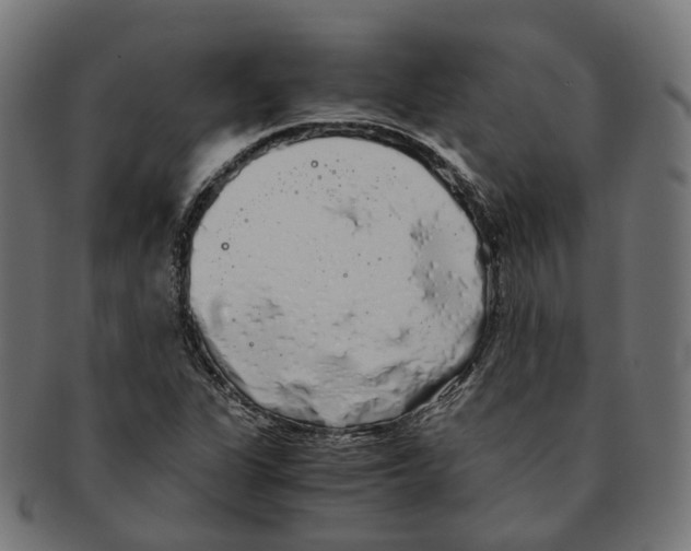 X0000091241311200709061531