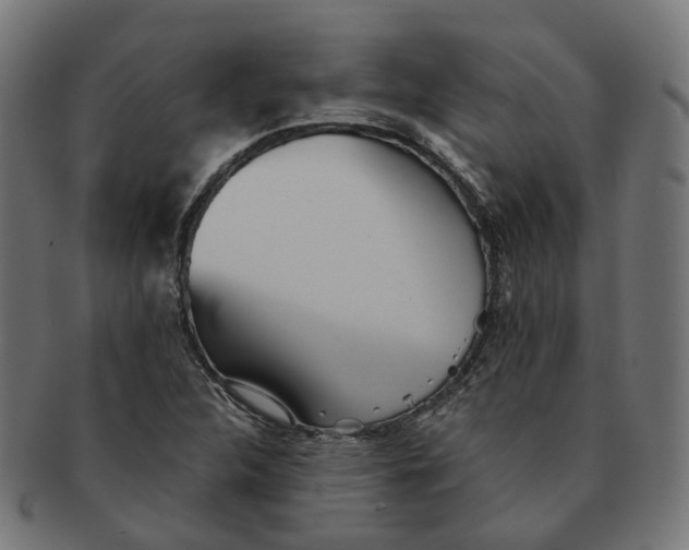 X0000091241312200709061531