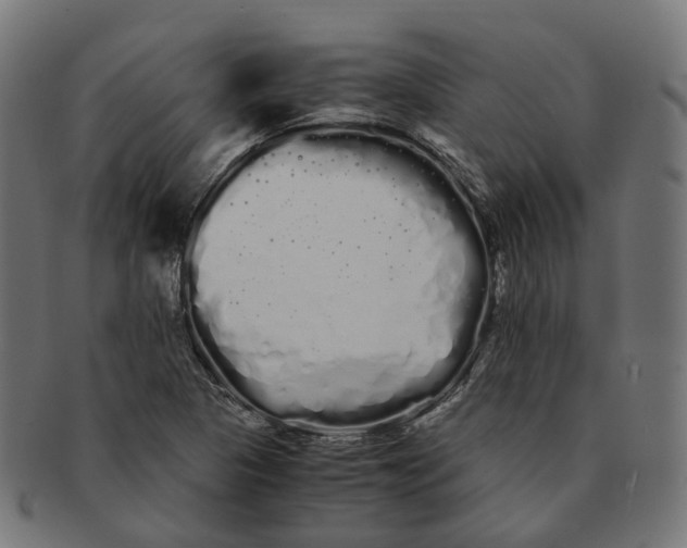 X0000091241313200709061531