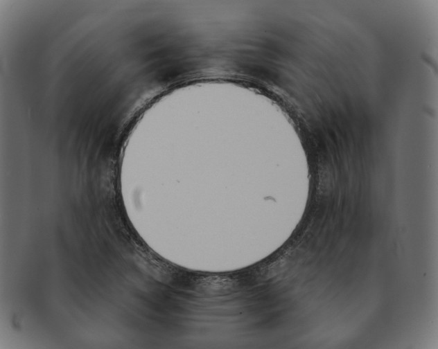 X0000091241314200709061531