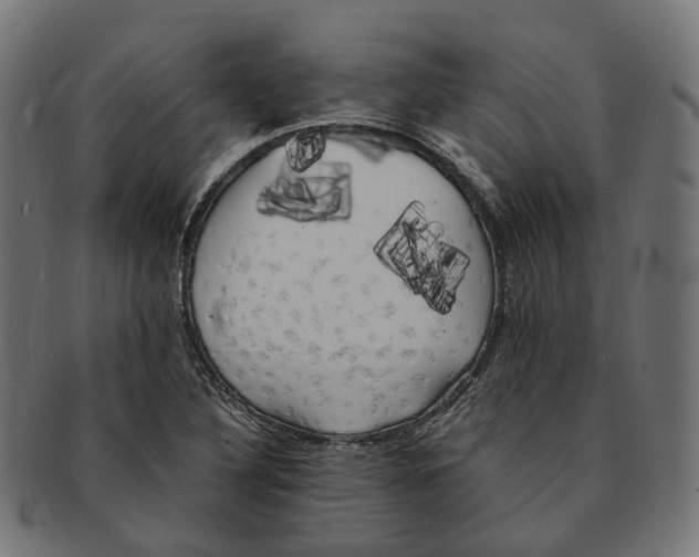 X0000091241316200709061531