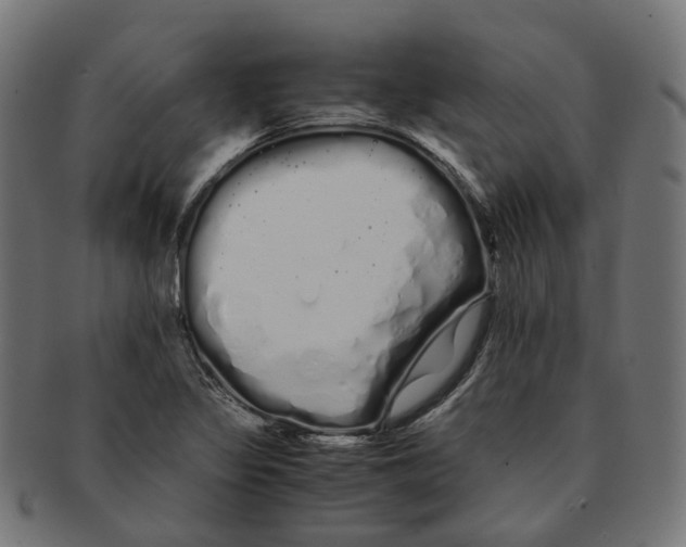 X0000091241317200709061531