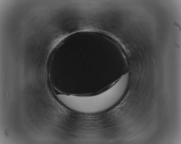 X0000091241319200709061531