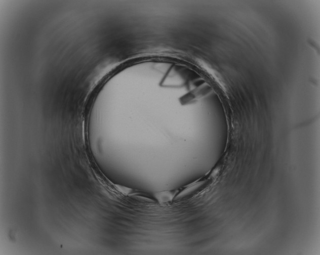 X0000091241320200709061531